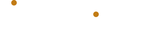American Business School
